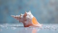 Elegant seashell composition featuring a pink conch shell surrounded by tiny white fragments on a soft blue textured background Royalty Free Stock Photo