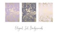 Chic blush pink gold trendy marble grunge texture with floral ornament Royalty Free Stock Photo