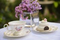 Elegant setting for afternoon tea Royalty Free Stock Photo
