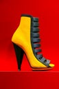 Elegant shoe for ladies Royalty Free Stock Photo