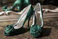 Elegant Shoes Royalty Free Stock Photo