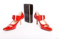 Elegant Shoes on a high heel and varnished lea Royalty Free Stock Photo