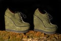 Elegant shoes on a high platform stand on an old tree overgrown with moss. Black background