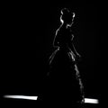Elegant Silhouette: A Baroque-inspired Carolina Herrera Dress In Artistic Reportage Style