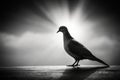 Elegant Silhouette Dove A Minimalist Grayscale Exploration of Solitude and Contemplation Generative AI