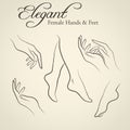 Elegant silhouettes of female hands and feet