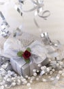 Elegant silver gift