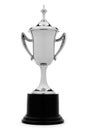 Elegant silver trophy cup