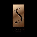 Elegant simbol on gold sheet logo template