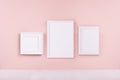 Elegant simple modern gallery with set of three blank different photo frame hanging on pastel pink wall and white wood floor.