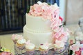 Elegant and simple two tiered cake covered in white royal icing with pink decorative flowers and cupcakes all around Royalty Free Stock Photo