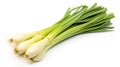 Elegant Simplicity: Leek Isolated on White Background