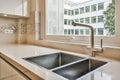 Elegant sink design