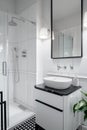 Elegant and small bathroom