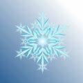 elegant snowflake vector diamond model icon illustration winter season symbol of cold weather and ice frost