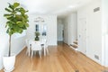 Elegant spacious white dining room with a big ficus plant in a house