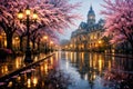 Elegant Spring Boulevard With Cherry Blossoms And Historic Architecture Reflected On Wet Street Royalty Free Stock Photo