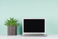 Elegant spring home workplace with blank notebook screen, green house plant aloe in black ribbed pot in soft light green mint.