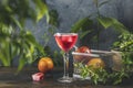 Elegant stemware glass of blood orange cocktail with frozen raspberries in ice cube on dark wooden table surface Royalty Free Stock Photo