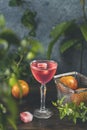 Elegant stemware glass of blood orange cocktail with frozen raspberries in ice cube on dark wooden table surface Royalty Free Stock Photo