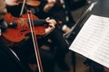 Elegant string quartet performing at wedding reception in restaurant, handsome man in suits playing violin and cello at theatre