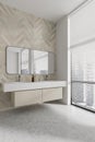 Elegant stylish bathroom interior with double sink near panoramic window