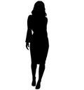 Elegant and stylish business woman very expressive goes to work on foot, from work. Dressed in knee-length business dress Royalty Free Stock Photo