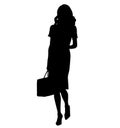 Elegant and stylish business woman very expressive goes to work on foot, from work. Dressed in knee length business dress