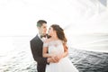 Elegant stylish happy wedding couple, bride, gorgeous groom on the background of sea and sky Royalty Free Stock Photo