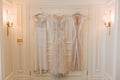 Elegant Stylish Wedding Dresses Hanging on Door