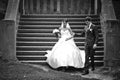 elegant stylish young couple beautiful bride and groom Royalty Free Stock Photo