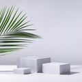 Elegant summer abstract white podiums in sunlight with shadow, green palm leaf on white background for product display, square. Royalty Free Stock Photo