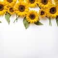 Elegant Sunflower Frame Crisp Copy Area