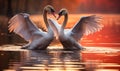 Elegant Swans Engaging in a Courtship Dance on a Serene Lake at Twilight a Symbol of Love and Grace