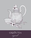 Elegant teapot with strainer, glass cup and original green tea leaves and flowers hand drawn with contour lines on gray Royalty Free Stock Photo