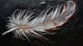 Elegant Textured Feather Artwork in Gold Royalty Free Stock Photo