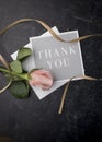 Elegant thank you note with peach rose bud and ribbon Royalty Free Stock Photo