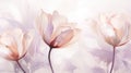 Elegant tulip flowers transparent watercolour background. Pastel colour palette. Generative AI