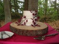 Two tier cake wedding cake adorned with Japanese maple leaves.