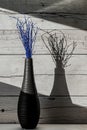 Elegant vase with blue twigs and its shade receives light from the window