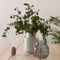 Elegant vase with eucalyptus twigs, close-up