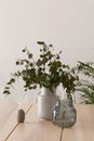 Elegant vase with eucalyptus twigs on wooden table