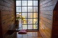 An elegant vase of yellow flowers next to the glass window still has dewdrops. Romantic floral decoration Royalty Free Stock Photo