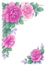 Elegant Vector Background with Rose Flowers Frame Royalty Free Stock Photo