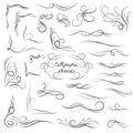 Elegant Vector Calligraphic Corners and Vignettes Set Royalty Free Stock Photo