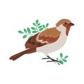 Elegant vector flat sparrow in green leaves isolated on white background. Element for design Royalty Free Stock Photo