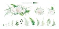 Elegant vector floral bouquet: Ivory white, creamy peony Rose flowers, silver sage Eucalyptus branches, greenery leaves, ferns,