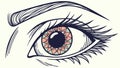 Stylized Female Eye Vector Graphic, Cosmetic Beauty Illustration, vector design Generative AI Royalty Free Stock Photo