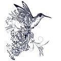 Elegant vector hummingbird with flowers and flourishes in vintage style Royalty Free Stock Photo