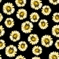 Elegant vector pattern with blooming dandelion flowers